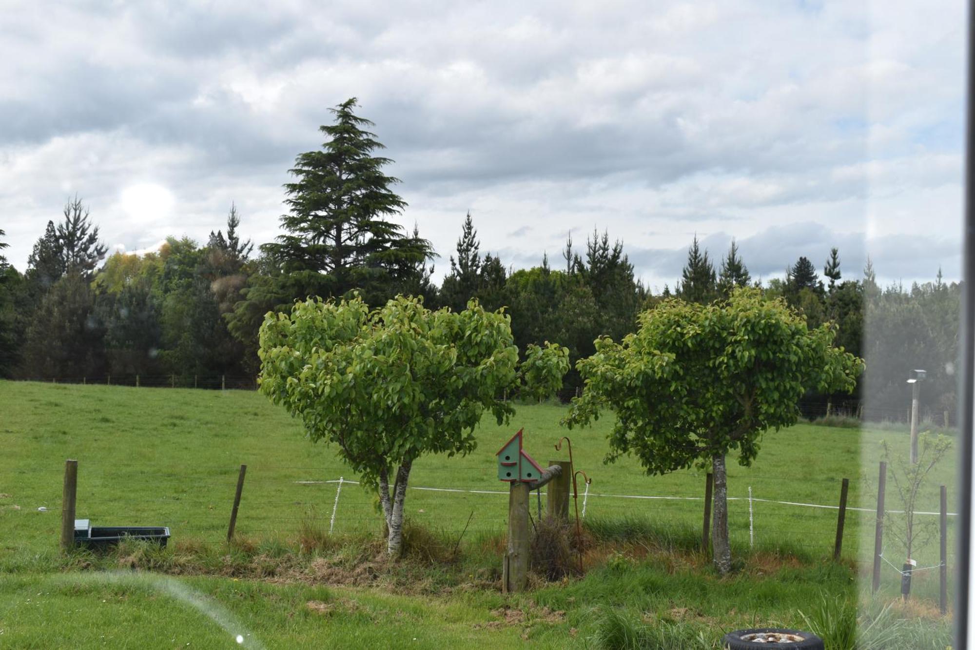 Bnb On Bakers Waimate Esterno foto