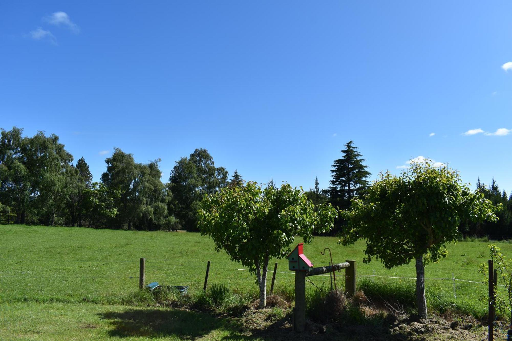 Bnb On Bakers Waimate Esterno foto